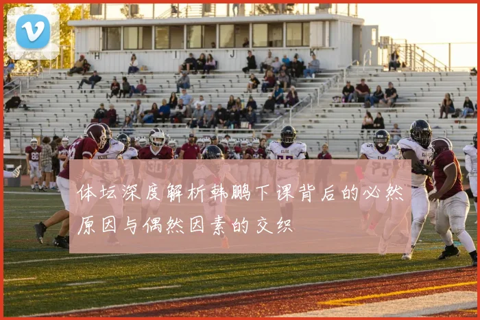 体坛深度解析韩鹏下课背后的必然原因与偶然因素的交织