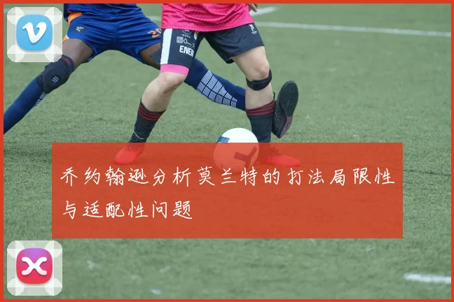 乔约翰逊分析莫兰特的打法局限性与适配性问题